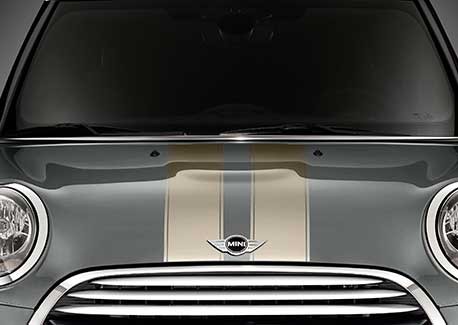 bonnet-stripes